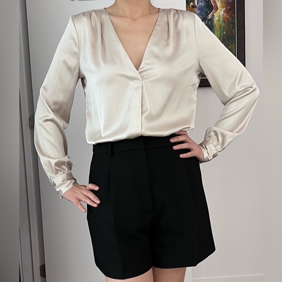 V neck long sleeve blouse - Picture 1 of 3